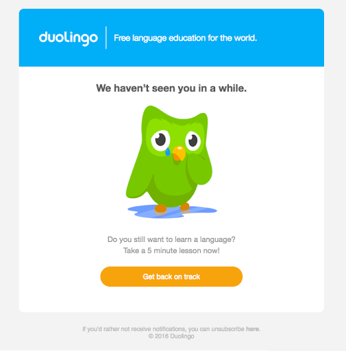 duolingo winback