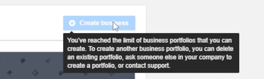 limit of business portfolios